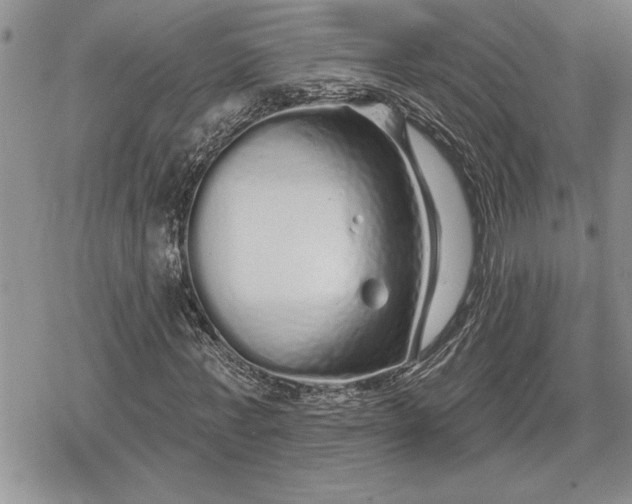 X0000078830771200611271256