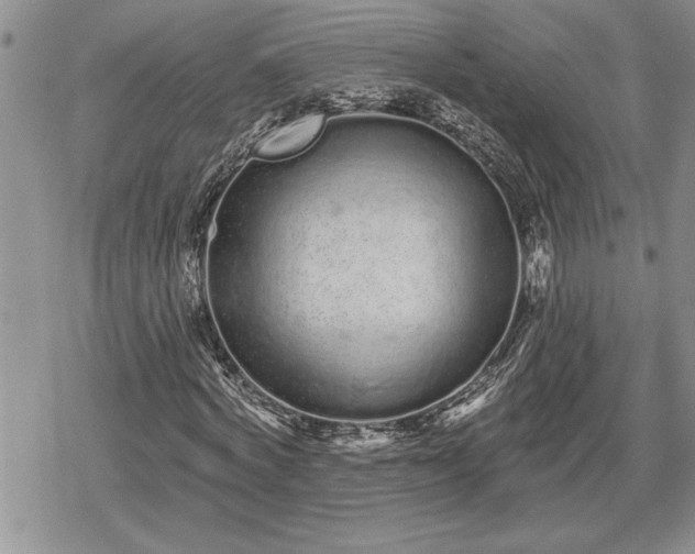 X0000078830772200611271256