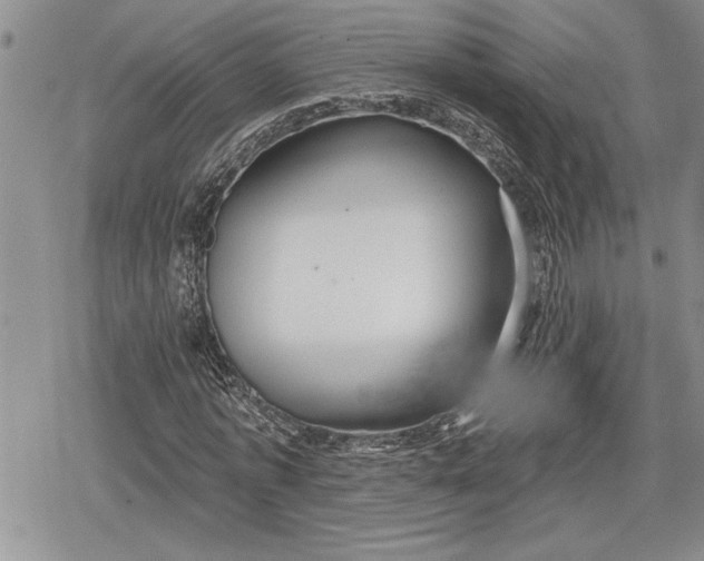 X0000078830773200611271256