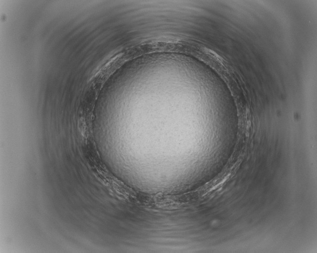 X0000078830774200611271256