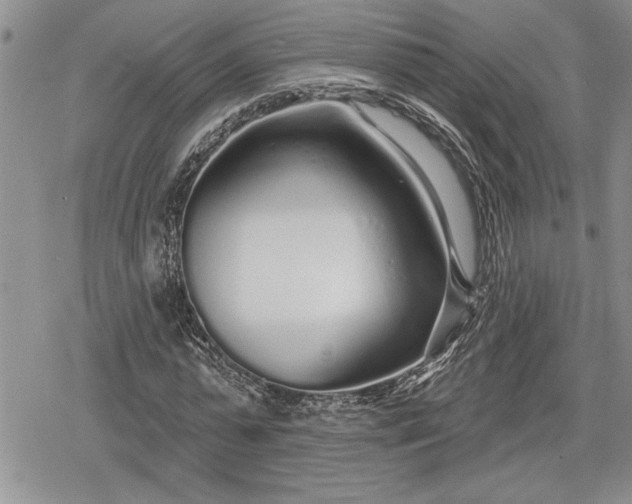 X0000078830775200611271256