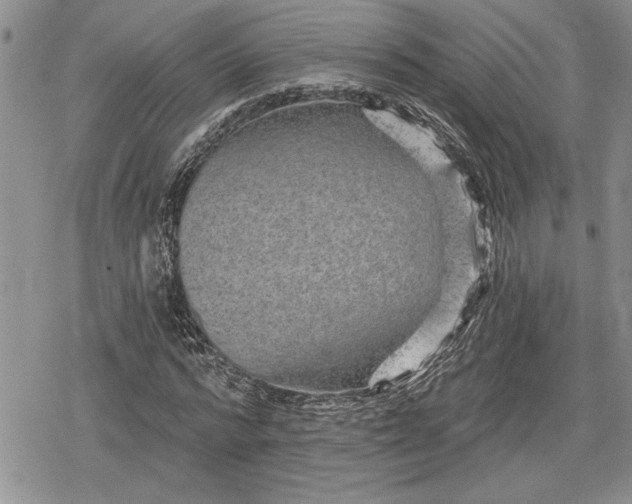 X0000078830776200611271256