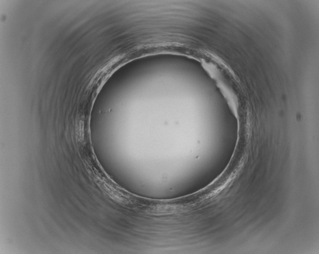 X0000078830777200611271256