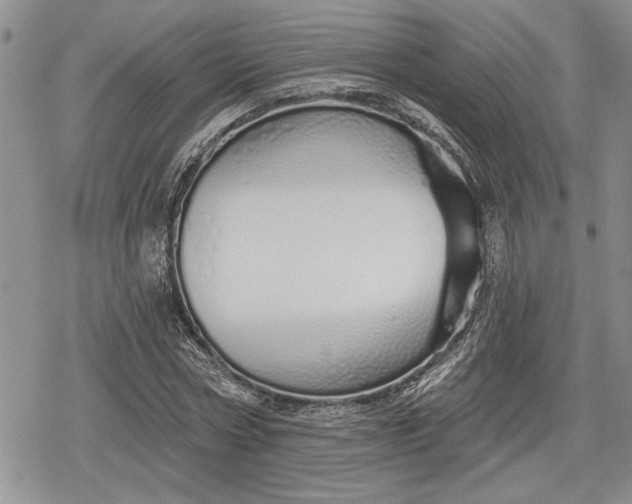 X0000078830778200611271256