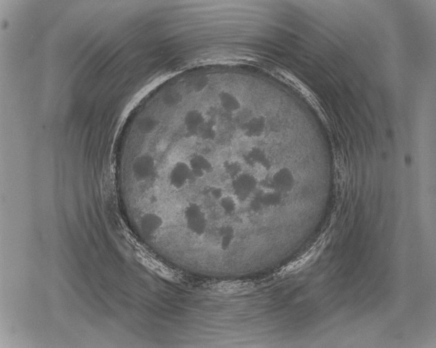 X0000078830779200611271256