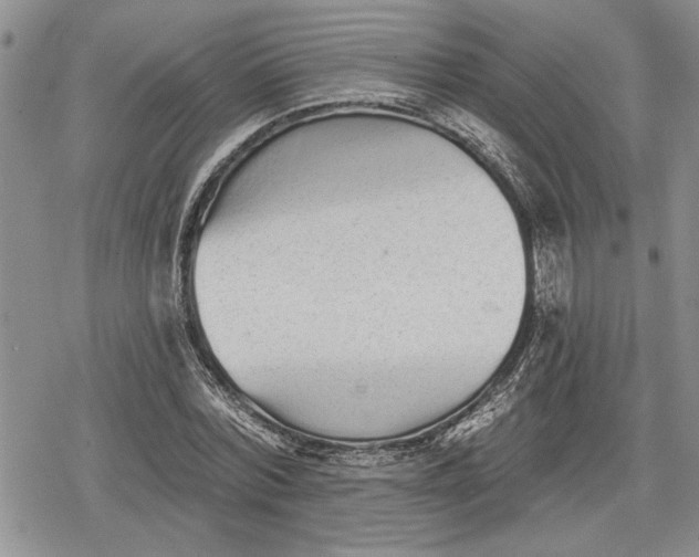 X0000078830780200611271256