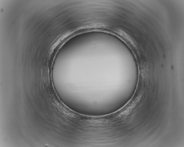 X0000078830781200611271256