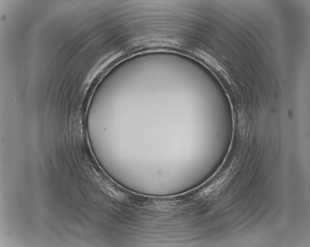 X0000078830782200611271256