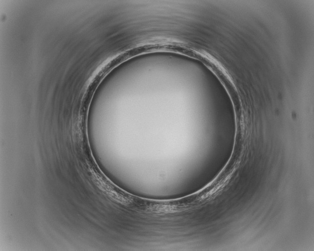 X0000078830783200611271256