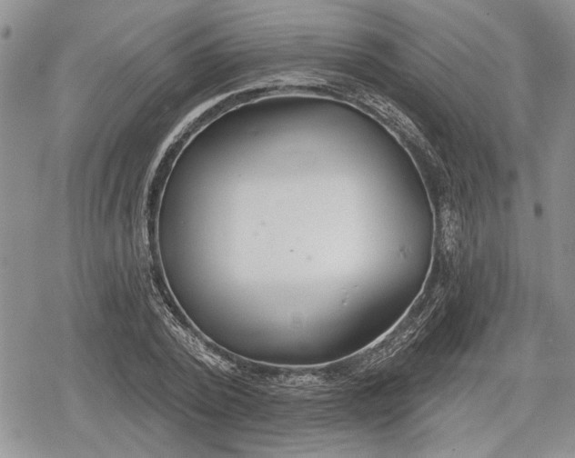 X0000078830784200611271256