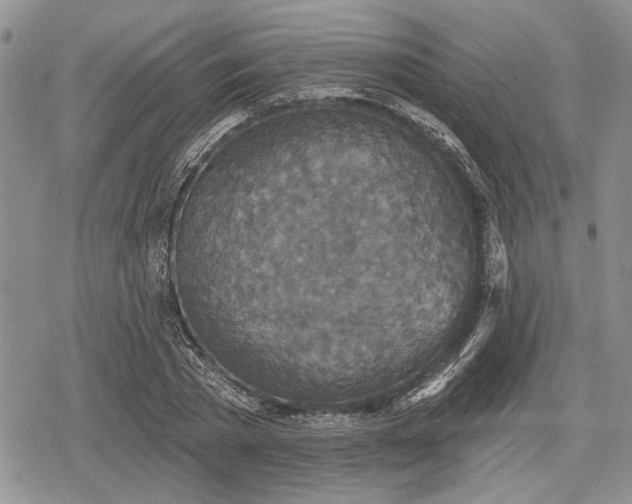 X0000078830785200611271256