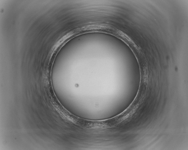 X0000078830786200611271256