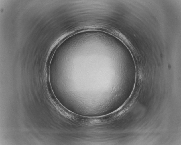 X0000078830787200611271256