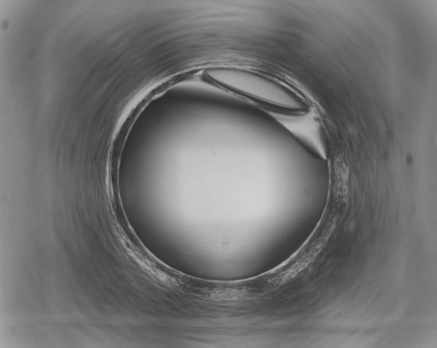 X0000078830788200611271256