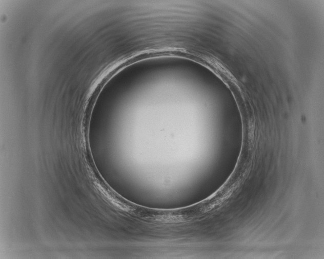 X0000078830789200611271256