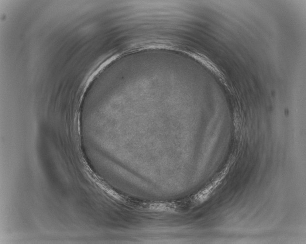 X0000078830790200611271256