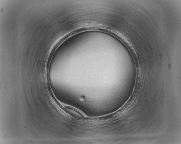 X0000078830791200611271256