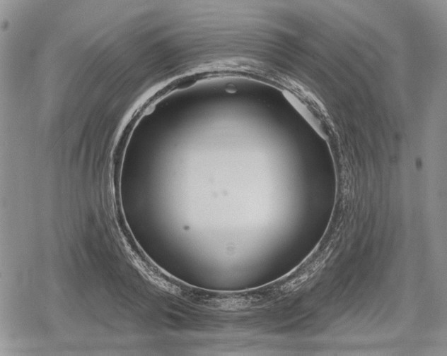 X0000078830792200611271256