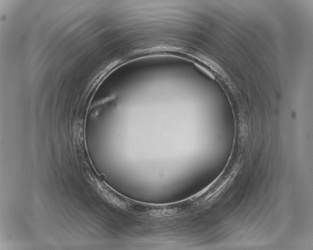 X0000078830793200611271256