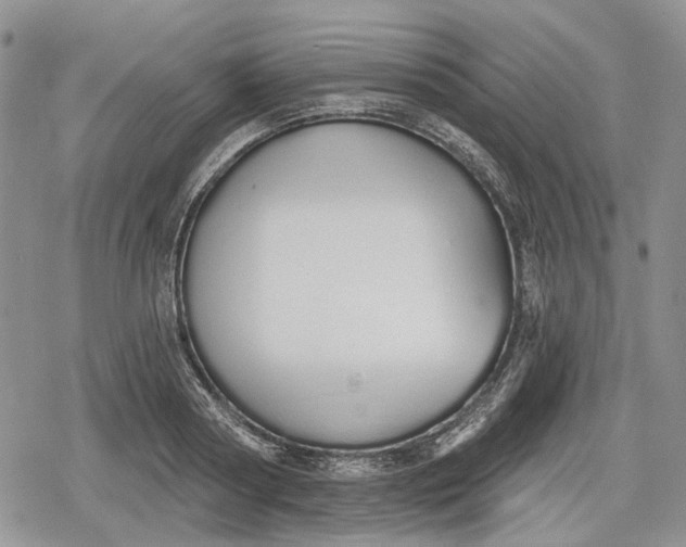 X0000078830794200611271256