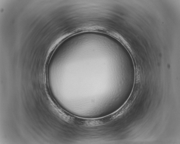 X0000078830795200611271256