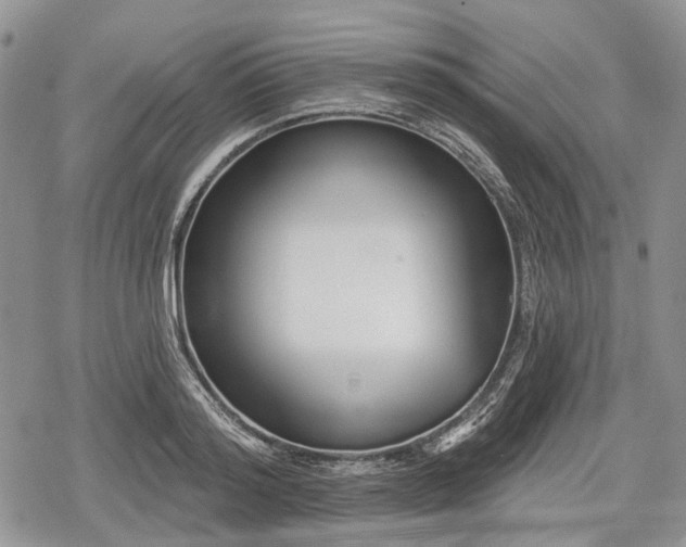 X0000078830796200611271256