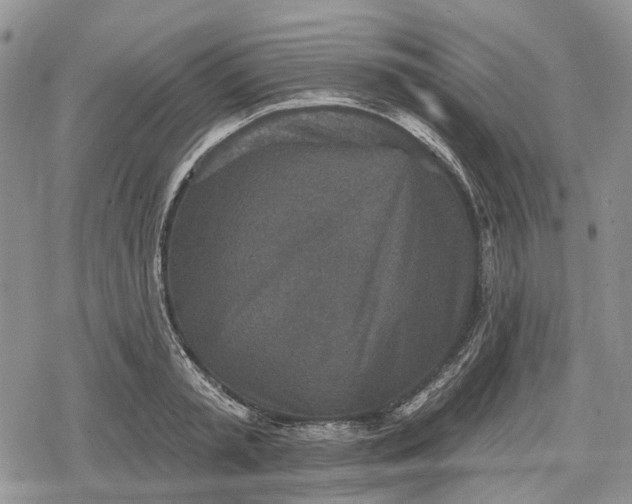 X0000078830797200611271256