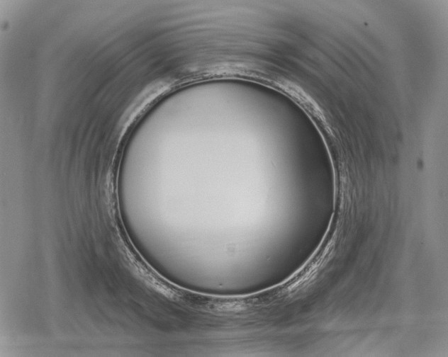 X0000078830798200611271256