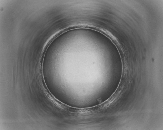 X0000078830799200611271255