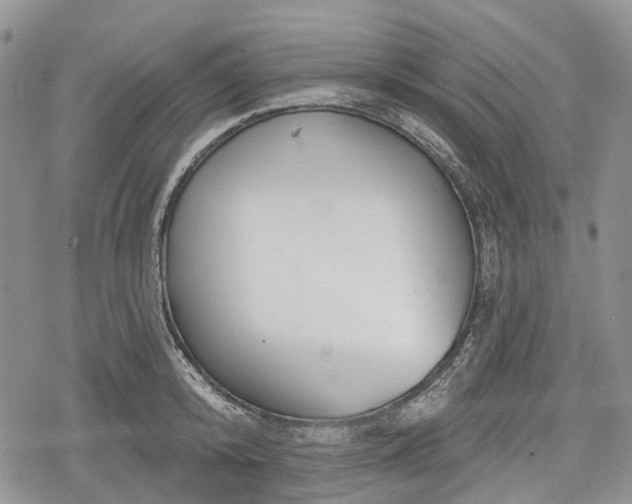 X0000078830800200611271255