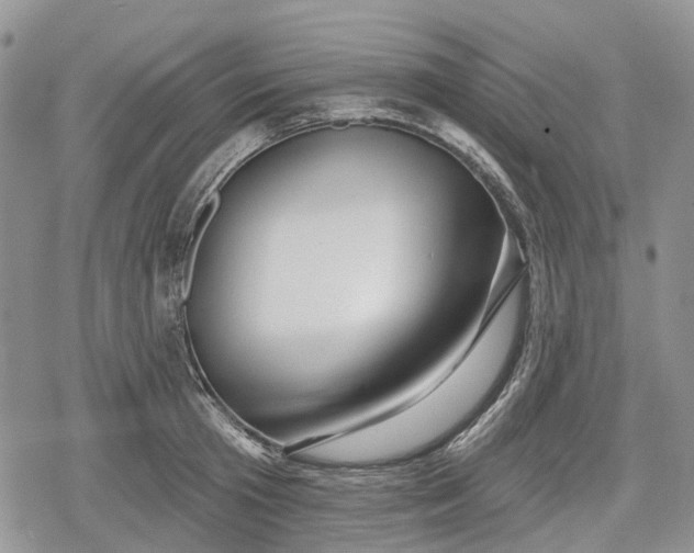 X0000078830801200611271255