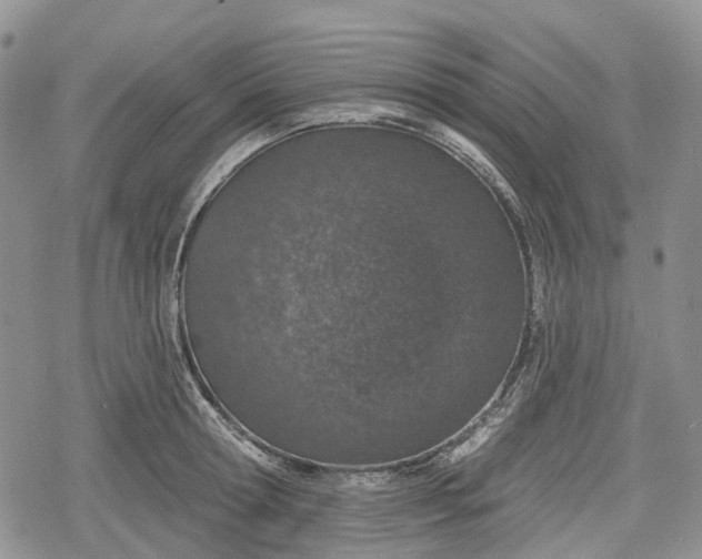 X0000078830802200611271255