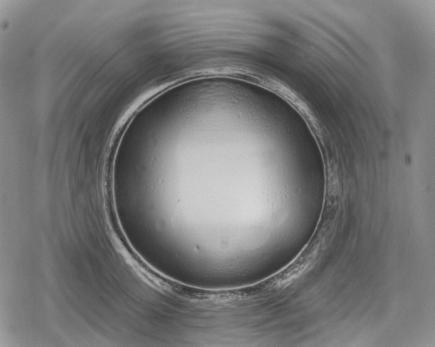 X0000078830803200611271255