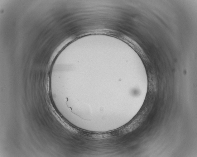 X0000078830804200611271255