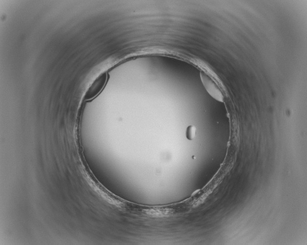 X0000078830805200611271255