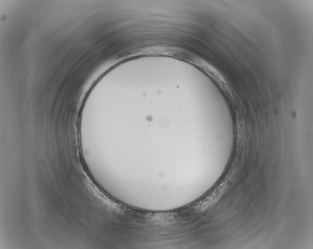 X0000078830808200611271255