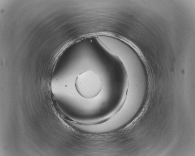 X0000078830809200611271255