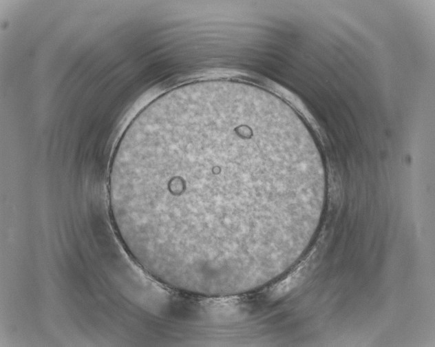 X0000078830810200611271255