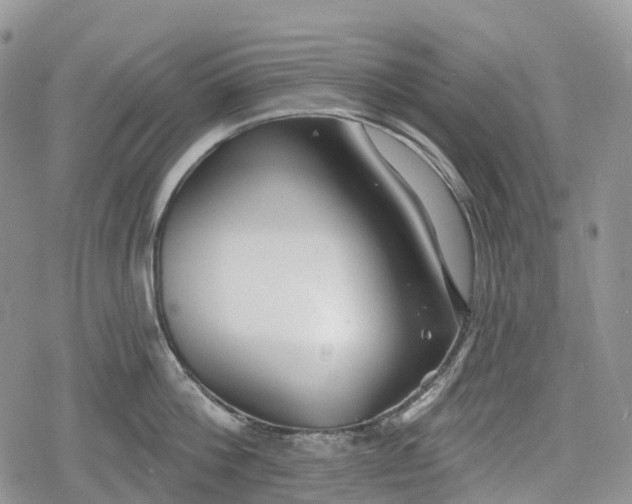 X0000078830812200611271255