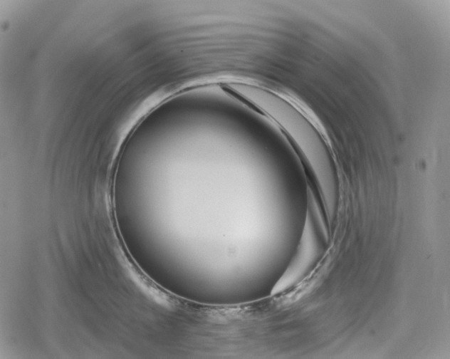 X0000078830813200611271255