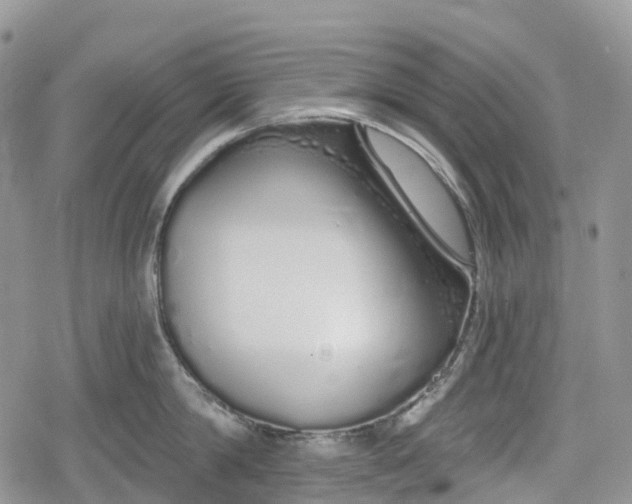 X0000078830814200611271255