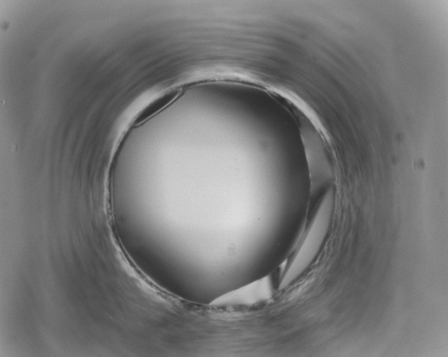 X0000078830815200611271255