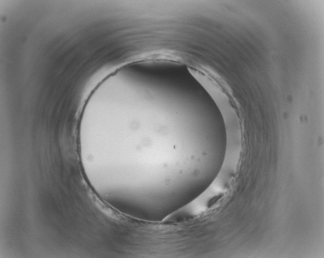 X0000078830816200611271255