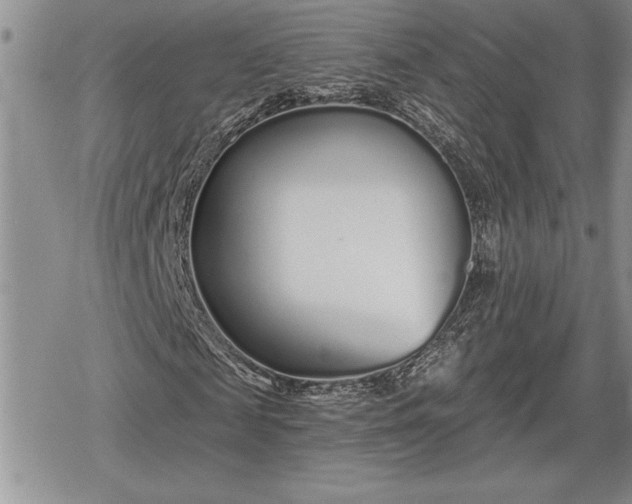 X0000078830817200611271254