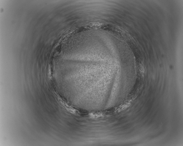 X0000078830818200611271254