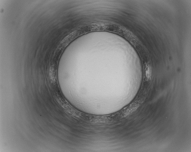 X0000078830819200611271254