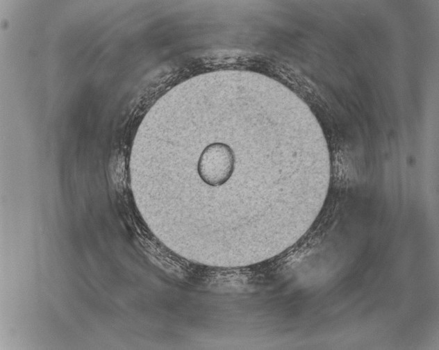 X0000078830820200611271254