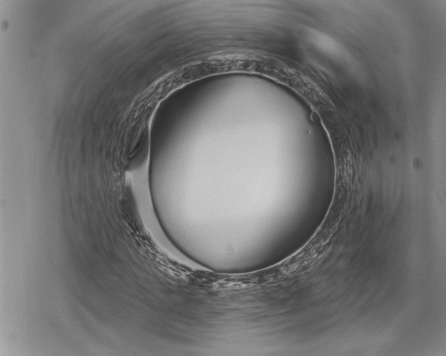 X0000078830821200611271255