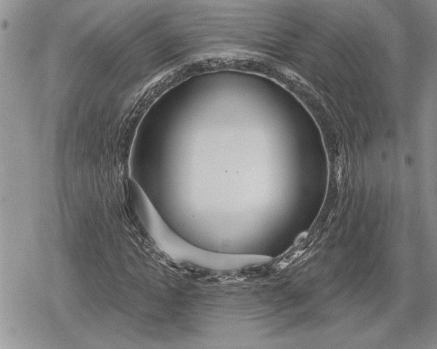 X0000078830822200611271255