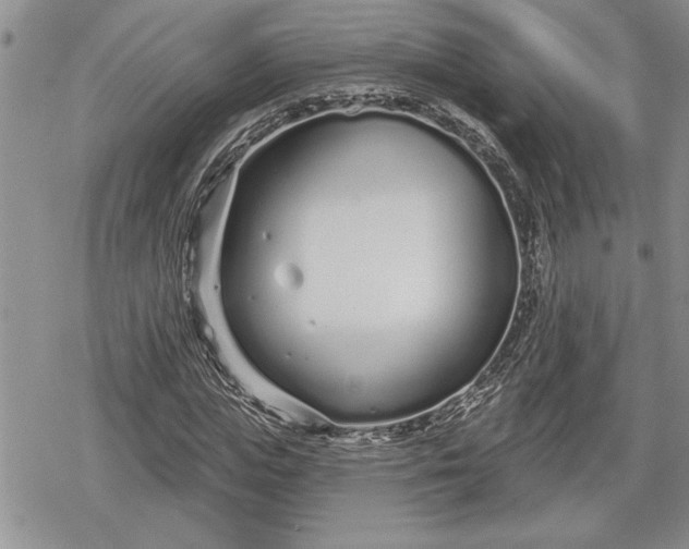 X0000078830823200611271255